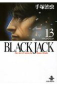 Vol. 13