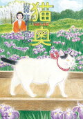Vol. 8