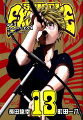 Vol. 13
