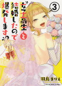 Vol. 3