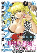 Vol. 16