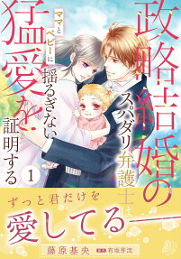 政略結婚のスパダリ弁護士はママとベビーに揺るぎない猛愛を証明する.