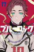 Vol. 17