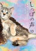 13권