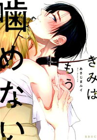 Kimi wa Mou Kamenai