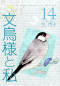 14권
