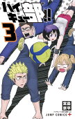 Vol. 3