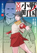 Vol. 20