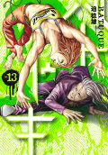 Vol. 13
