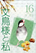 16권