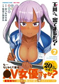 Vol. 3
