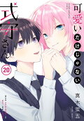 Vol. 20