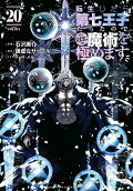Vol. 20