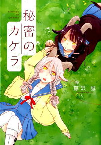 Himitsu no Kakera