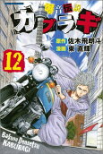 Vol. 12