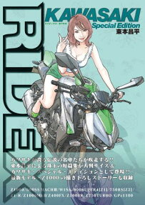 RIDEX KAWASAKI