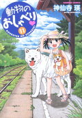 Vol. 11