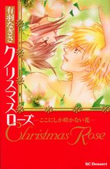 Christmas Rose