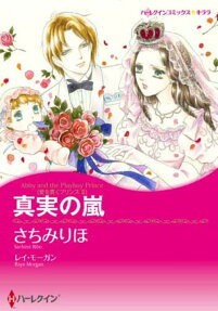 真実の嵐