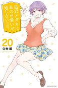 Vol. 20