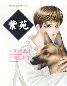 紫苑