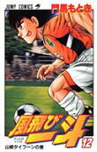 12권