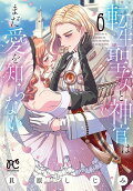 Vol. 6