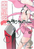 Vol. 13