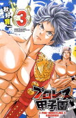 Vol. 3