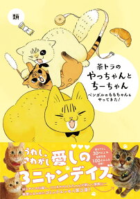 茶トラのやっちゃんとちーちゃん : ベンガルのももちゃんもやってきた!