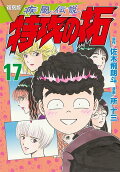 Vol. 17