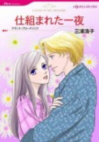 仕組まれた一夜