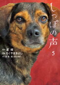 5권