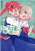 Vol. 11