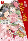 Vol. 3