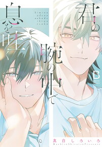 Kimi no Ude no de Iki wo Haku