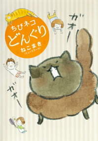 Acorn the Kitty Cat