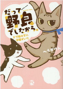 だって野良でしたから。 : ドブ板の下に子猫がいた