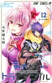 12권