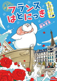 フランスはとにっき 一年エンジョイ!帰国の時期になりました