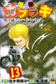 Vol. 13