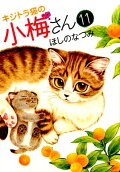 Vol. 11