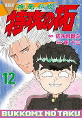 Vol. 12