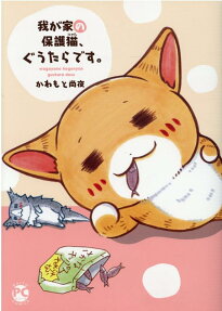 我が家の保護猫、ぐうたらです。