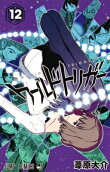 Vol. 12