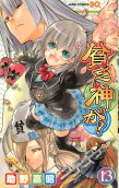 Vol. 13