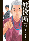 Vol. 20