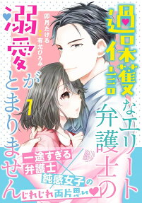 過保護なエリート弁護士の溺愛がとまりません