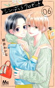 Vol. 6