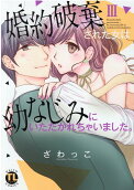 Vol. 3